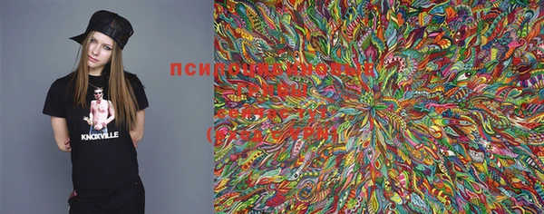 прущие крисы Абинск